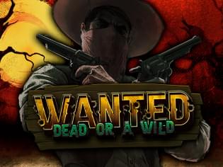 Wanted Dead or a Wild - вестерн с мегавыплатами